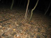 Chicago Ghost Hunters Group investigates Robinson Woods (123).JPG